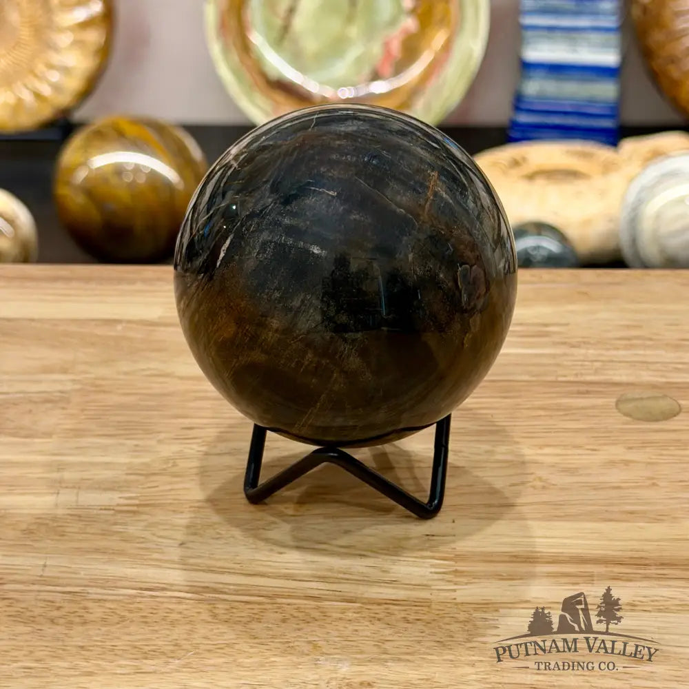 Reserve Madagascar Petrified Wood Sphere 3.55’’ - Sphere