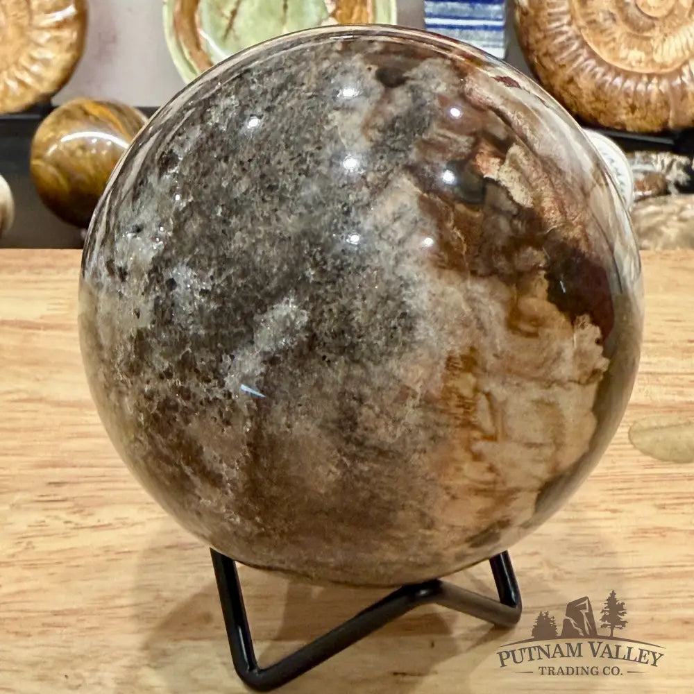 Reserve Madagascar Petrified Wood Sphere 3.6’’ - Sphere