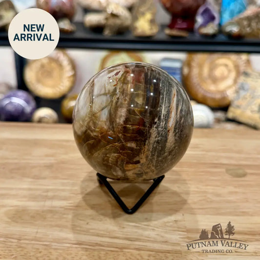 Reserve Madagascar Petrified Wood Sphere 3.6’’ - Sphere