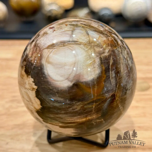 Reserve Madagascar Petrified Wood Sphere 3.6’’ - Sphere