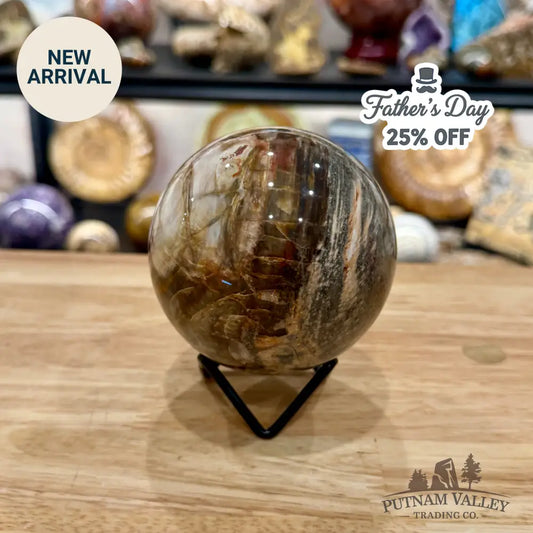 Reserve Madagascar Petrified Wood Sphere 3.6’’ - Sphere