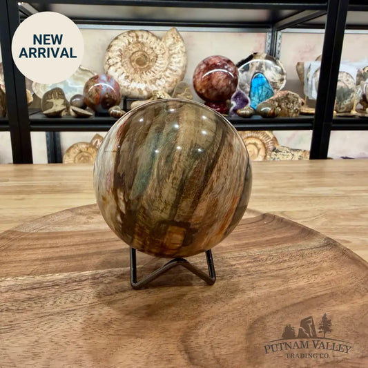 Reserve Madagascar Petrified Wood Sphere 3.74’’ - Sphere