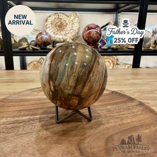 Reserve Madagascar Petrified Wood Sphere 3.74’’ - Sphere