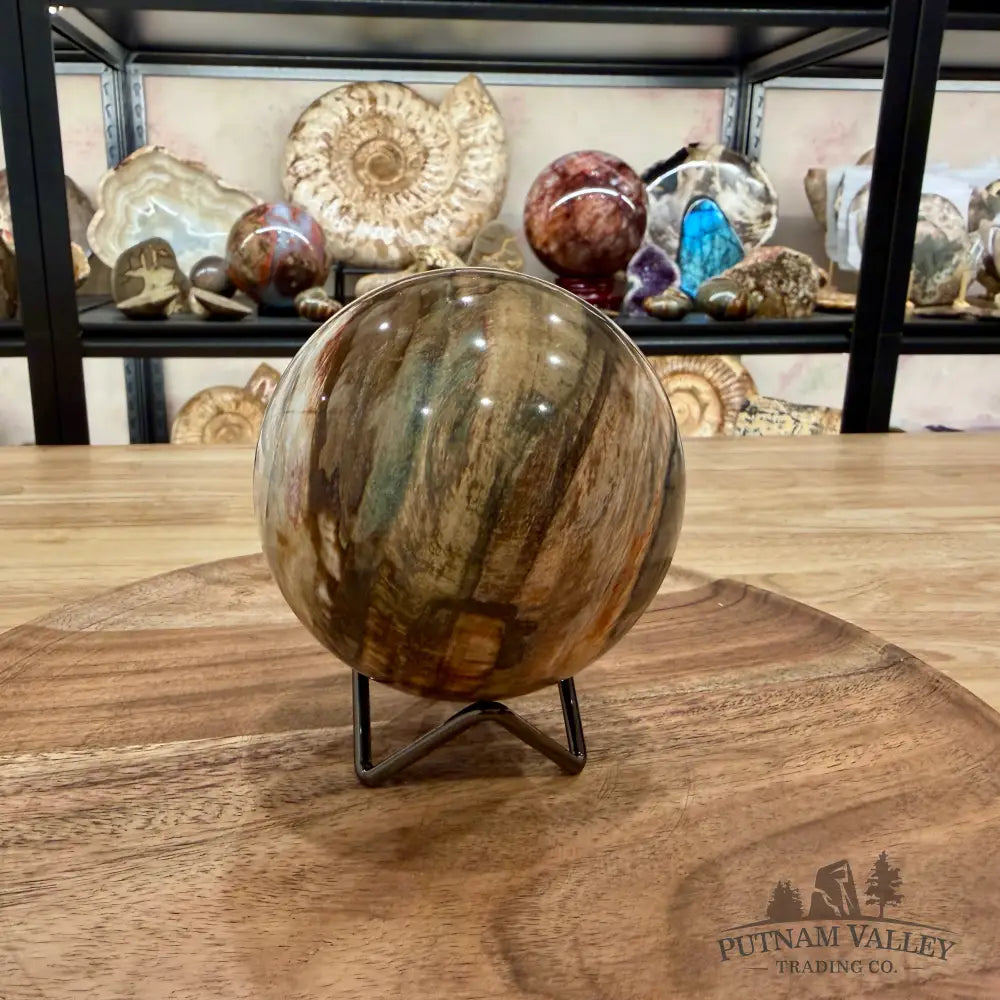 Reserve Madagascar Petrified Wood Sphere 3.74’’ - Sphere
