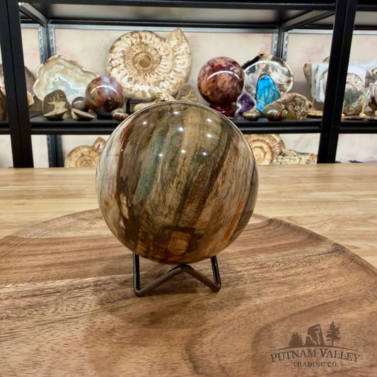 Reserve Madagascar Petrified Wood Sphere 3.74’’ - Sphere
