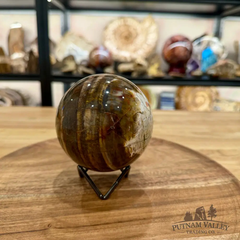 Reserve Madagascar Petrified Wood Sphere 3.74’’ - Sphere
