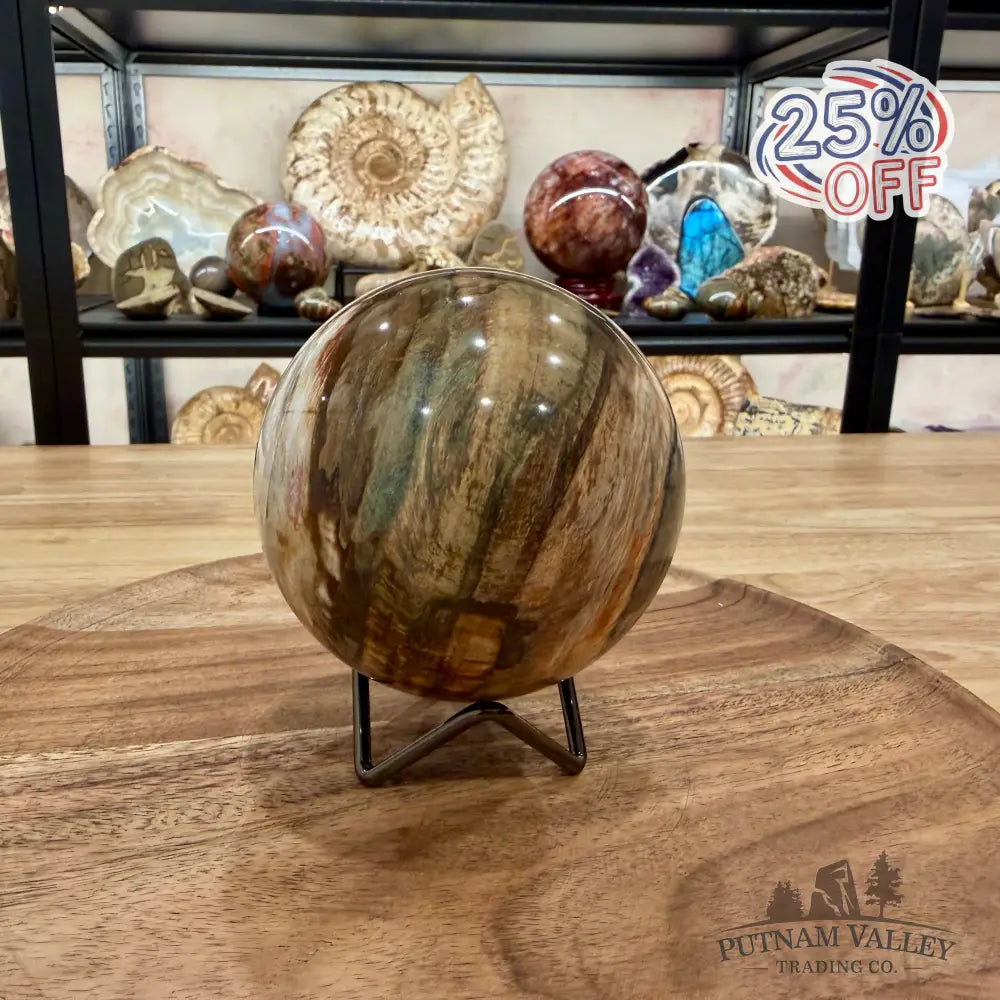 Reserve Madagascar Petrified Wood Sphere 3.74’’ - Sphere