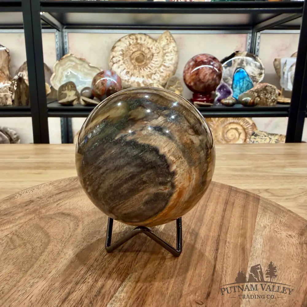 Reserve Madagascar Petrified Wood Sphere 3.74’’ - Sphere