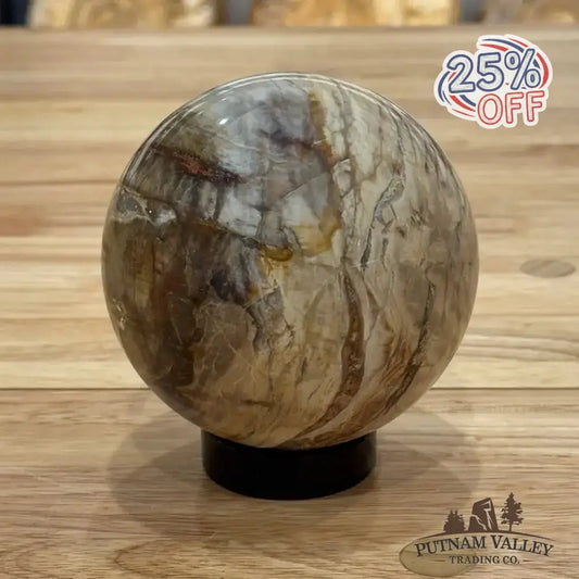 Reserve Petrified Wood Sphere 3.93" - Putnam Valley Trading Co.