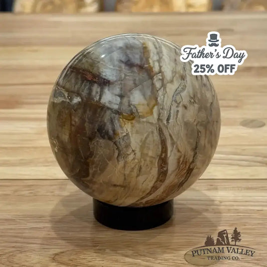 Reserve Petrified Wood Sphere 3.93" - Putnam Valley Trading Co.
