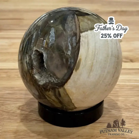 Reserve Petrified Wood Sphere 4.27" - Putnam Valley Trading Co.