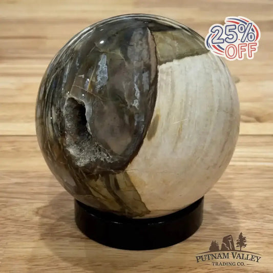 Reserve Petrified Wood Sphere 4.27" - Putnam Valley Trading Co.
