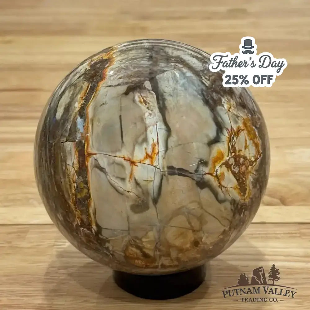 Reserve Petrified Wood Sphere 4.52" - Putnam Valley Trading Co.