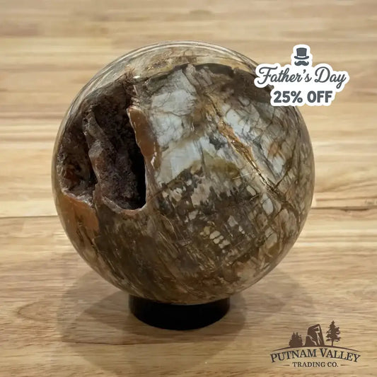 Reserve Petrified Wood Sphere 4.62" - Putnam Valley Trading Co.