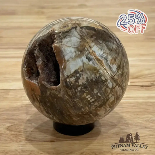 Reserve Petrified Wood Sphere 4.62" - Putnam Valley Trading Co.