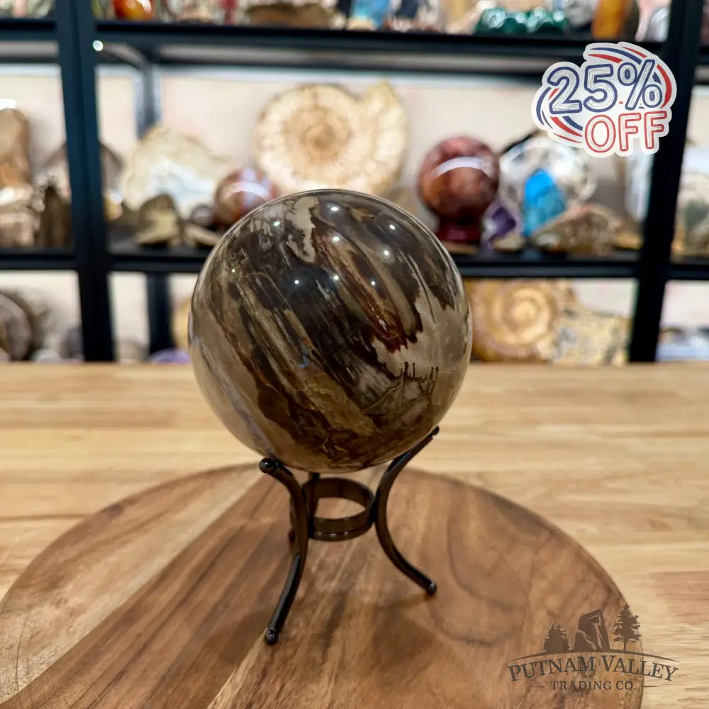 Reserve Madagascar Petrified Wood Sphere 4.64’’ - Sphere