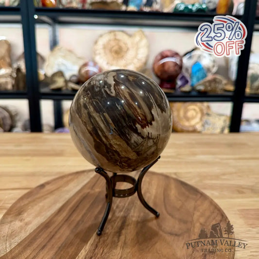 Reserve Madagascar Petrified Wood Sphere 4.64’’ - Sphere