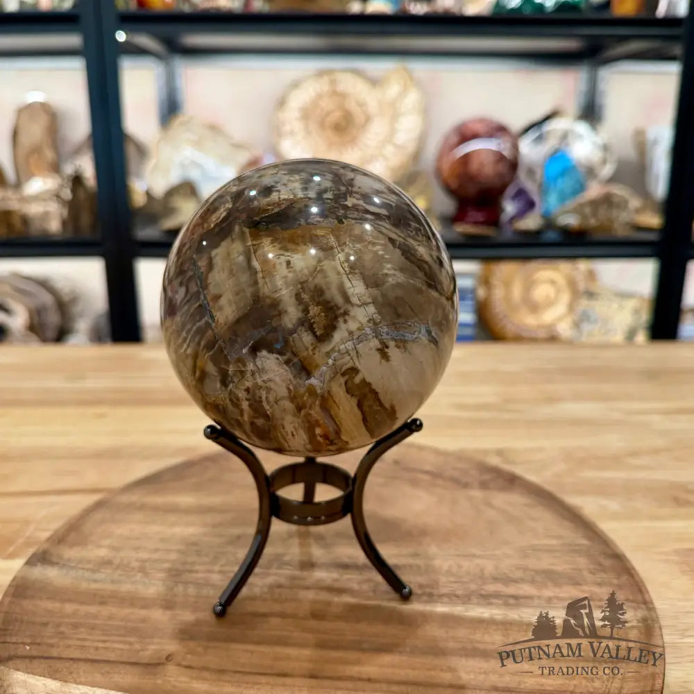 Reserve Madagascar Petrified Wood Sphere 4.64’’ - Sphere