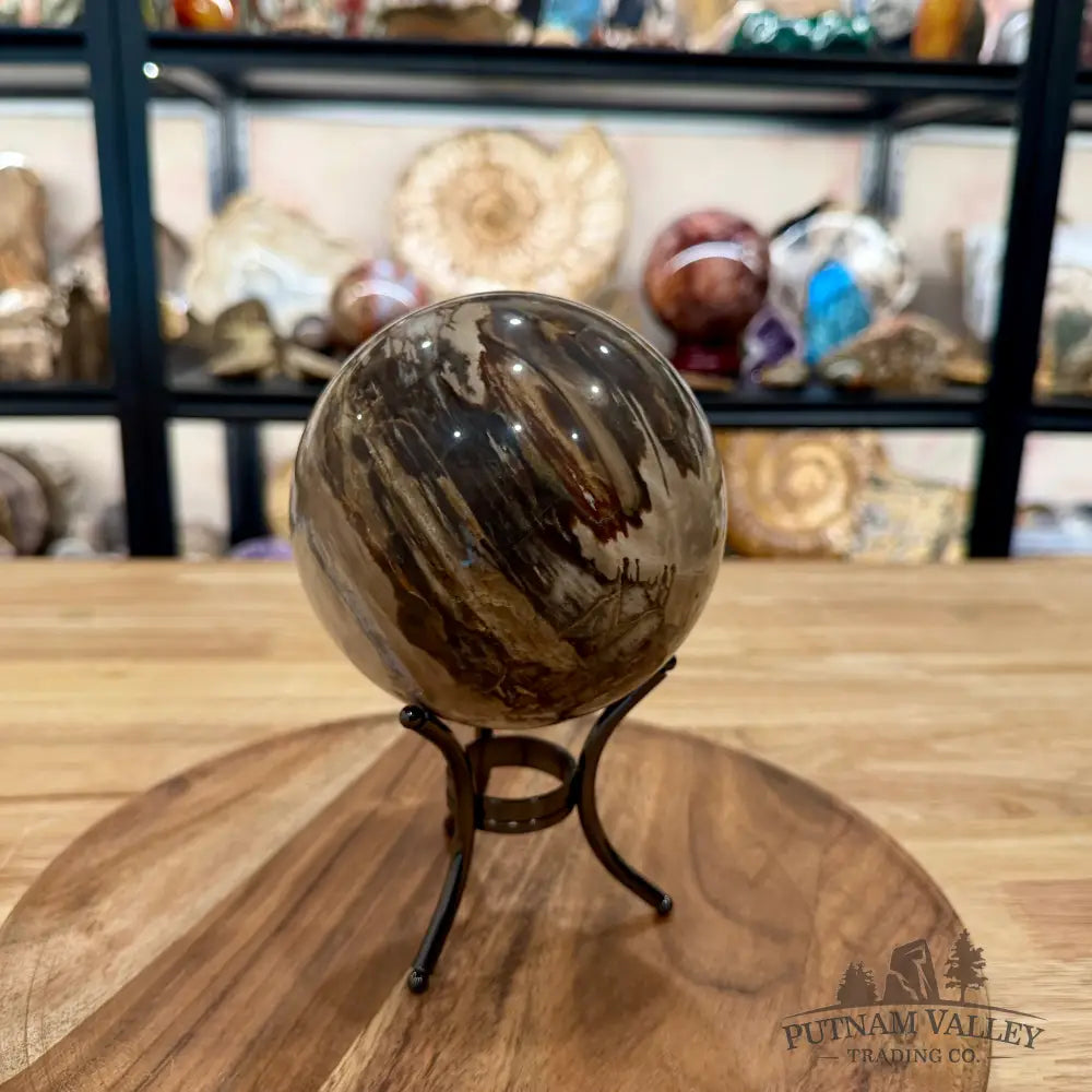 Reserve Madagascar Petrified Wood Sphere 4.64’’ - Sphere