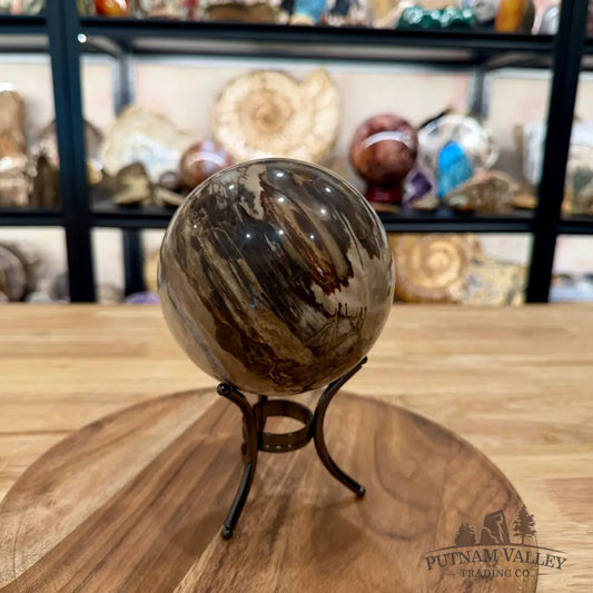 Reserve Madagascar Petrified Wood Sphere 4.64’’ - Sphere