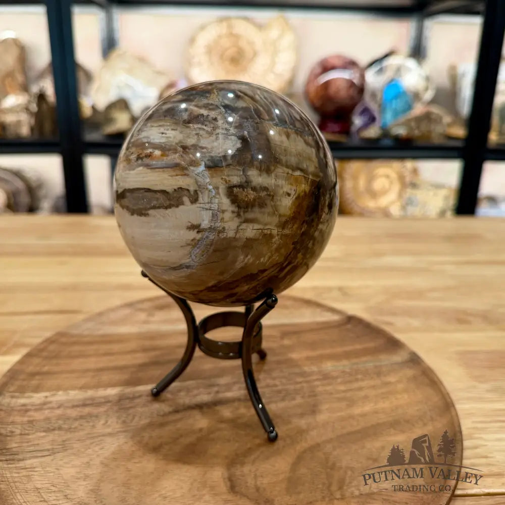 Reserve Madagascar Petrified Wood Sphere 4.64’’ - Sphere