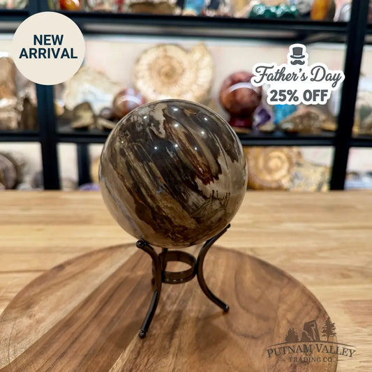 Reserve Madagascar Petrified Wood Sphere 4.64’’ - Sphere