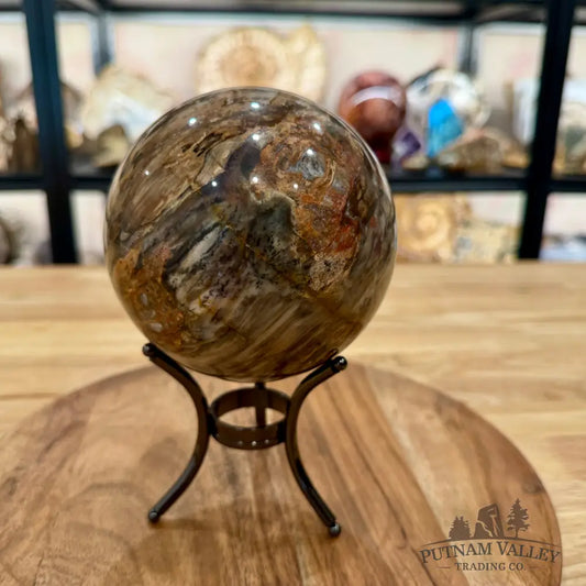 Reserve Madagascar Petrified Wood Sphere 4.64’’ - Sphere