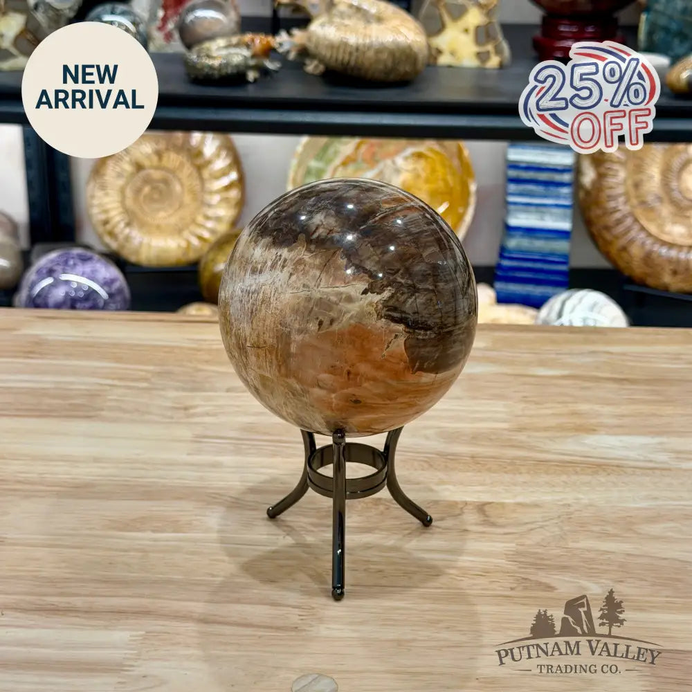 Reserve Madagascar Petrified Wood Sphere 4.67’’ - Sphere