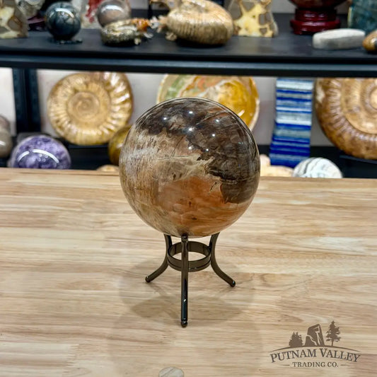 Reserve Madagascar Petrified Wood Sphere 4.67’’ - Sphere