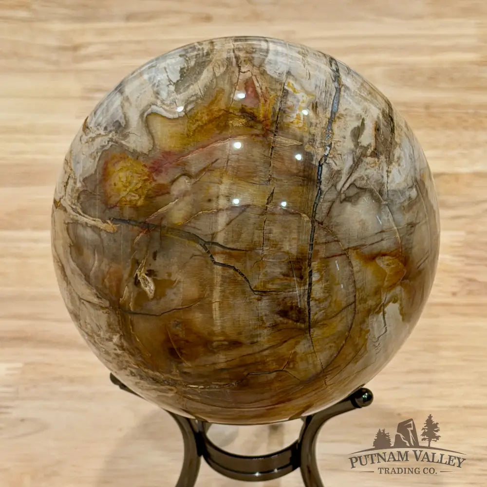 Reserve Madagascar Petrified Wood Sphere 4.7’’ - Sphere