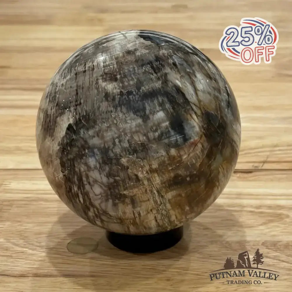 Reserve Petrified Wood Sphere 4.7" - Putnam Valley Trading Co.