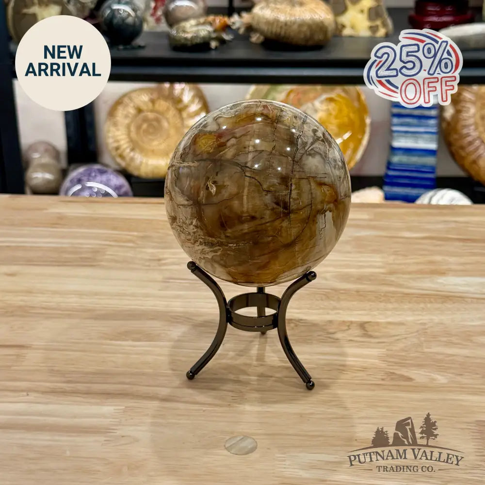 Reserve Madagascar Petrified Wood Sphere 4.7’’ - Sphere