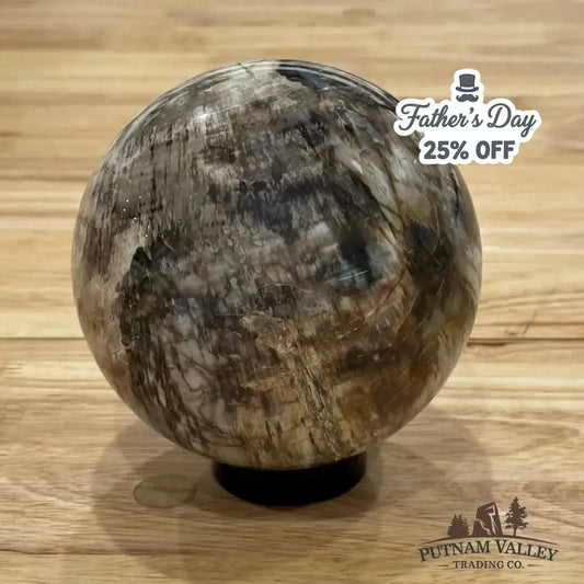 Reserve Petrified Wood Sphere 4.7" - Putnam Valley Trading Co.