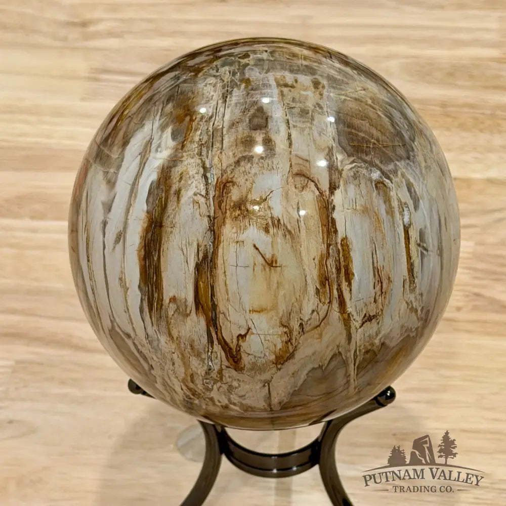 Reserve Madagascar Petrified Wood Sphere 4.7’’ - Sphere