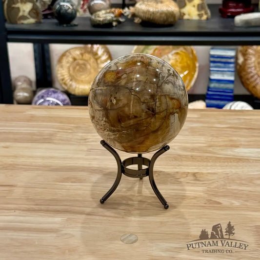 Reserve Madagascar Petrified Wood Sphere 4.7’’ - Sphere