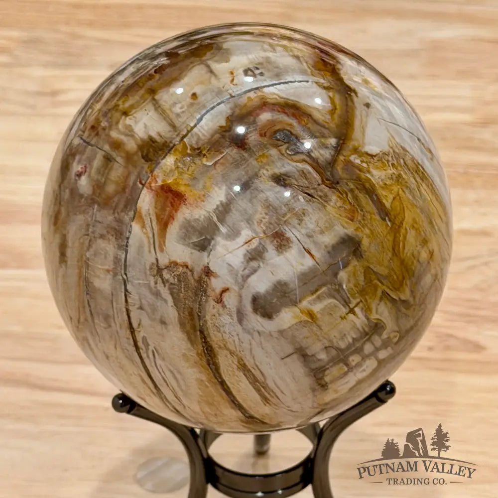 Reserve Madagascar Petrified Wood Sphere 4.7’’ - Sphere