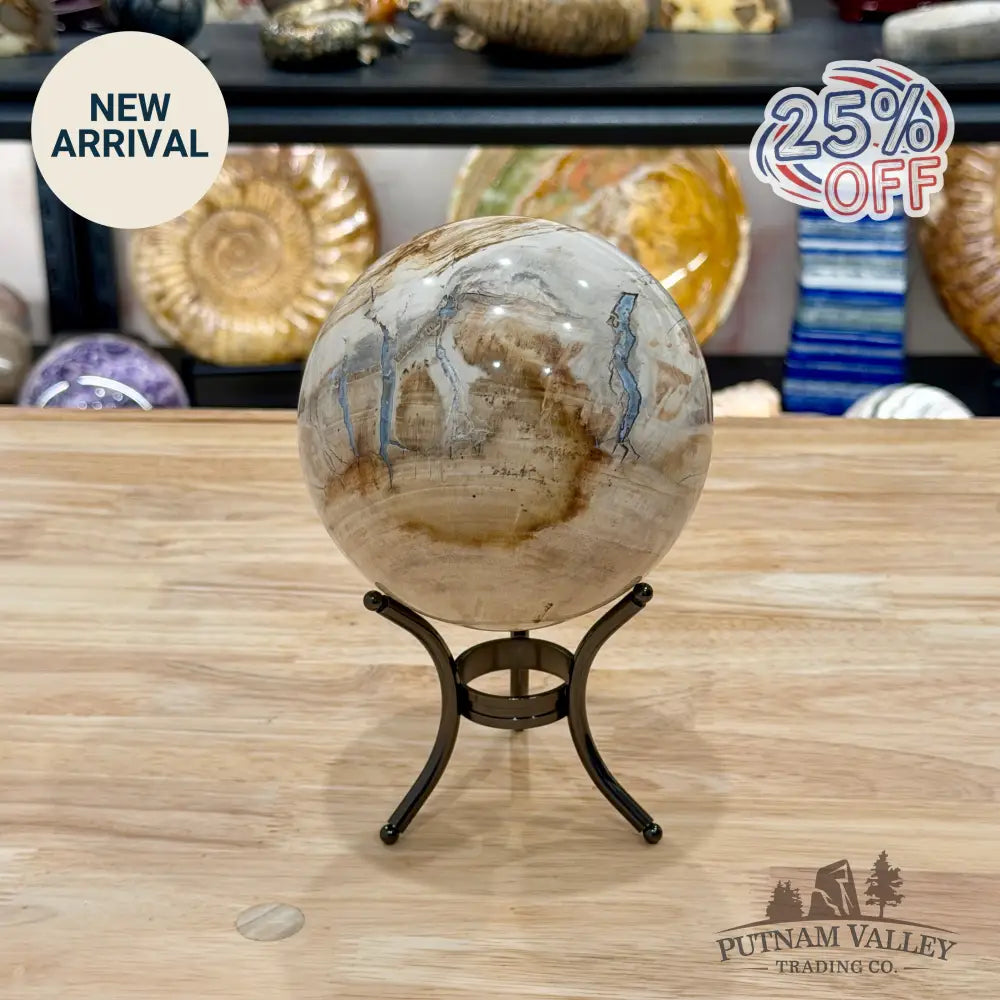 Reserve Madagascar Petrified Wood Sphere 4.72’’ - Sphere