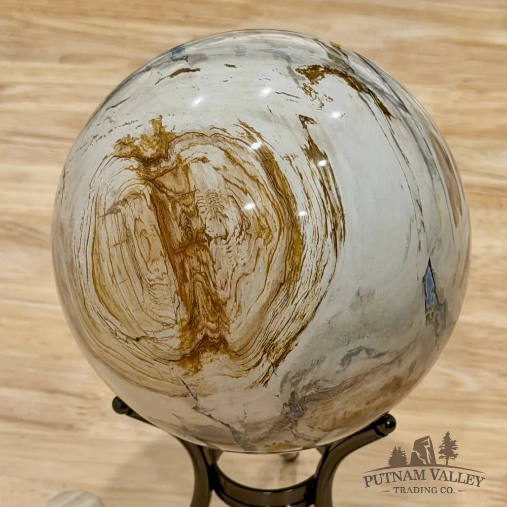 Reserve Madagascar Petrified Wood Sphere 4.72’’ - Sphere