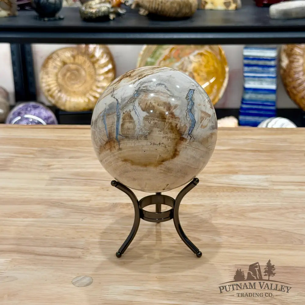 Reserve Madagascar Petrified Wood Sphere 4.72’’ - Sphere
