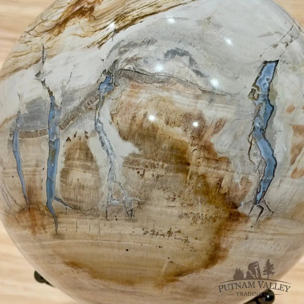 Reserve Madagascar Petrified Wood Sphere 4.72’’ - Sphere