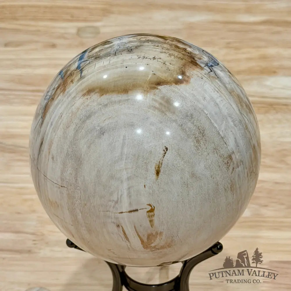 Reserve Madagascar Petrified Wood Sphere 4.72’’ - Sphere