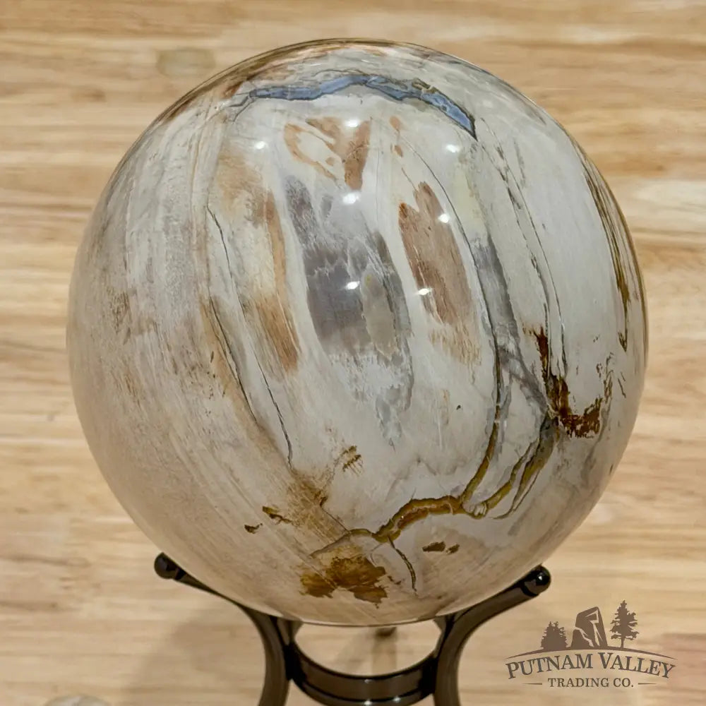 Reserve Madagascar Petrified Wood Sphere 4.72’’ - Sphere