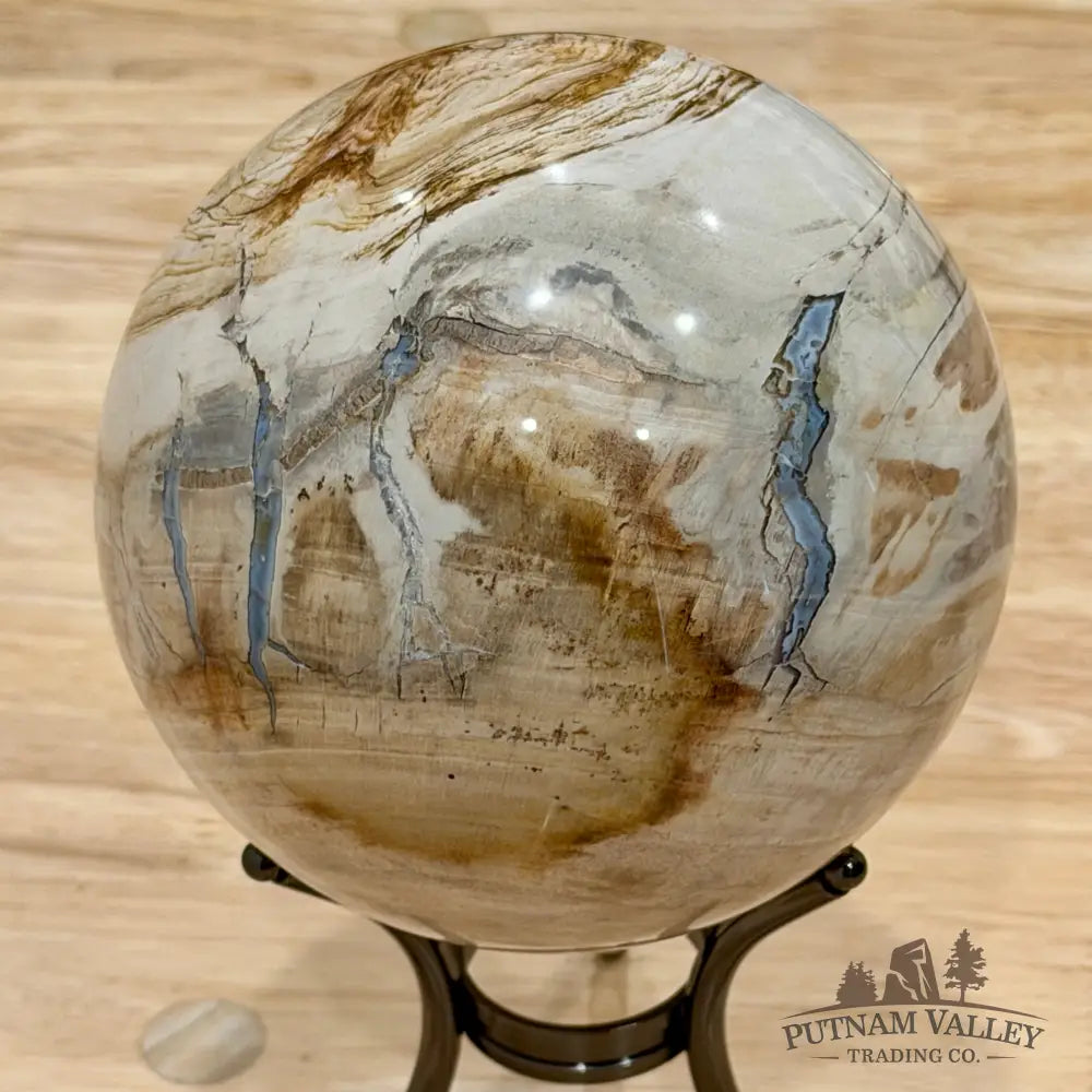 Reserve Madagascar Petrified Wood Sphere 4.72’’ - Sphere