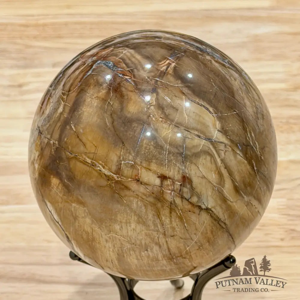 Reserve Madagascar Petrified Wood Sphere 4.78’’ - Sphere