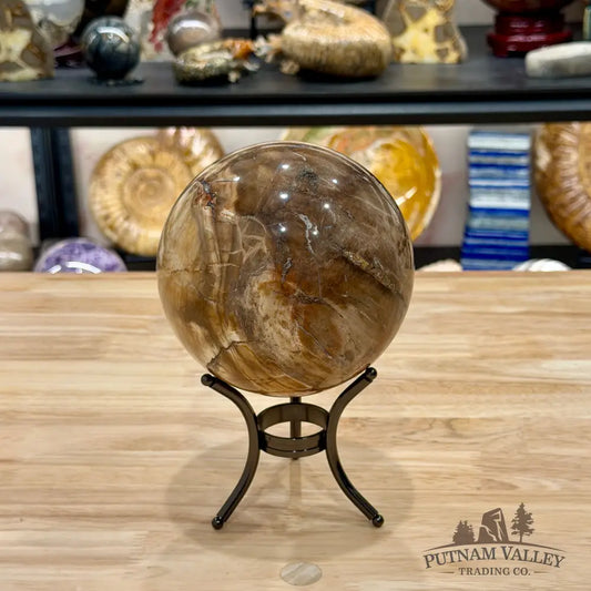 Reserve Madagascar Petrified Wood Sphere 4.78’’ - Sphere