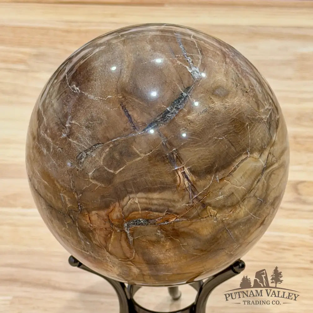 Reserve Madagascar Petrified Wood Sphere 4.78’’ - Sphere