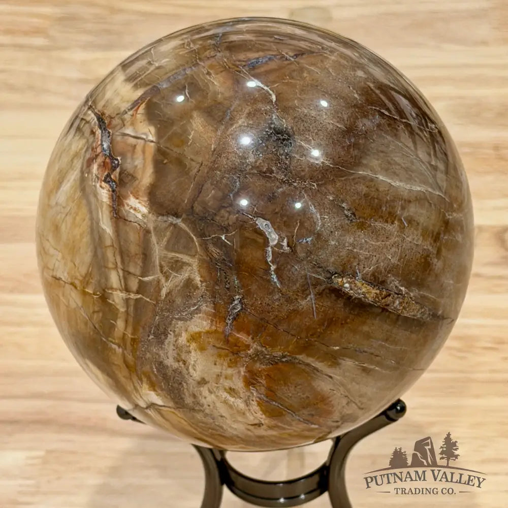 Reserve Madagascar Petrified Wood Sphere 4.78’’ - Sphere