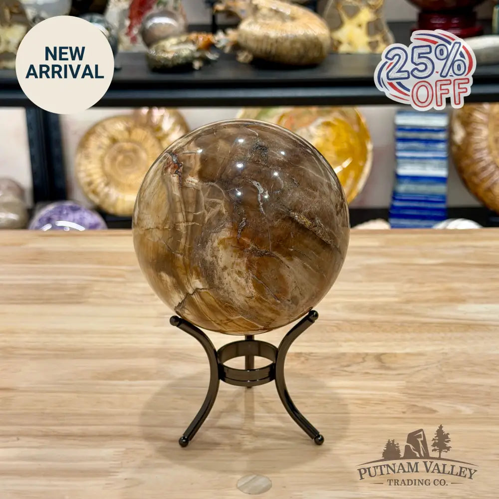Reserve Madagascar Petrified Wood Sphere 4.78’’ - Sphere