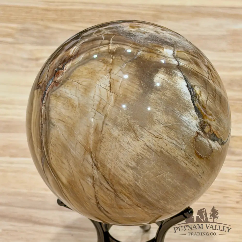 Reserve Madagascar Petrified Wood Sphere 4.78’’ - Sphere