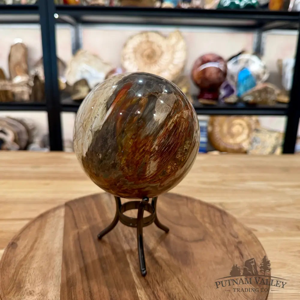 Reserve Madagascar Petrified Wood Sphere 4.82’’ - Sphere